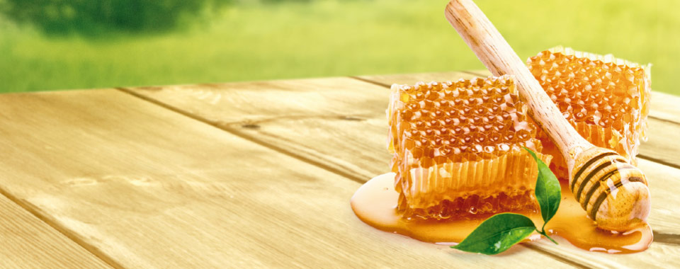 Pura Esperança Honey